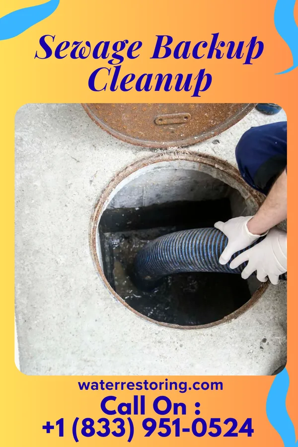 Sewage Backup Cleanup in Gilberton, PA