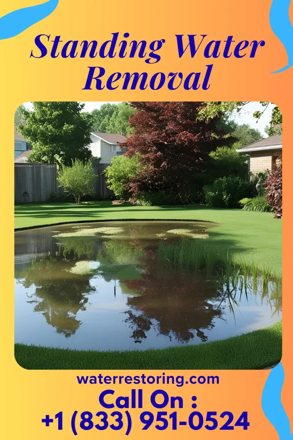 Standing Water Removal in Gilberton, PA